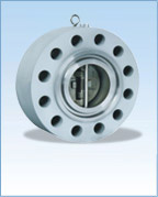 Forged Lug Double Disc Swing Check Valve (API) 