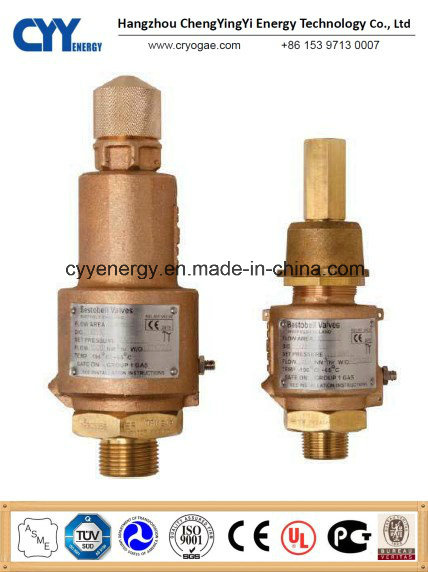 Cryogenic Safety Valve