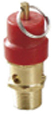 Safety Valve