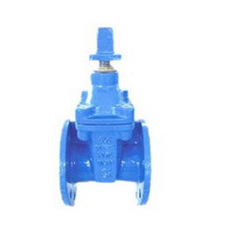 Bs5153 Non-Rising Stem Resilient Gate Valve