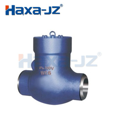 Pressure Seal Check Valve