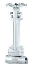 Cryogenic Globe Valve