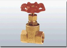 Brass Gate Valve (SF01)