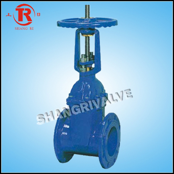 Flexible Seated Flanged Gate Valve (Type: Z41/45X)