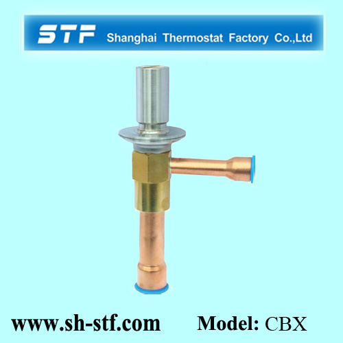 Cbx Gas Bypass Expansion Valve