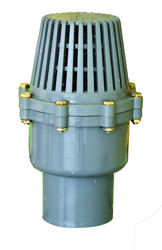 Plastic Foot Valve