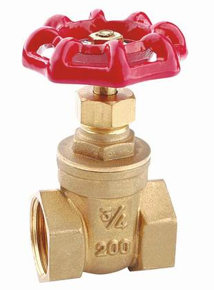 Gate Valve (TT6001)