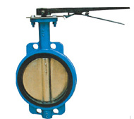 Butterfly Valve