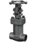 Female Globe Valve