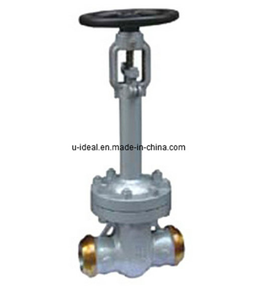 Bellows Gate Valve (Butt Weld End)