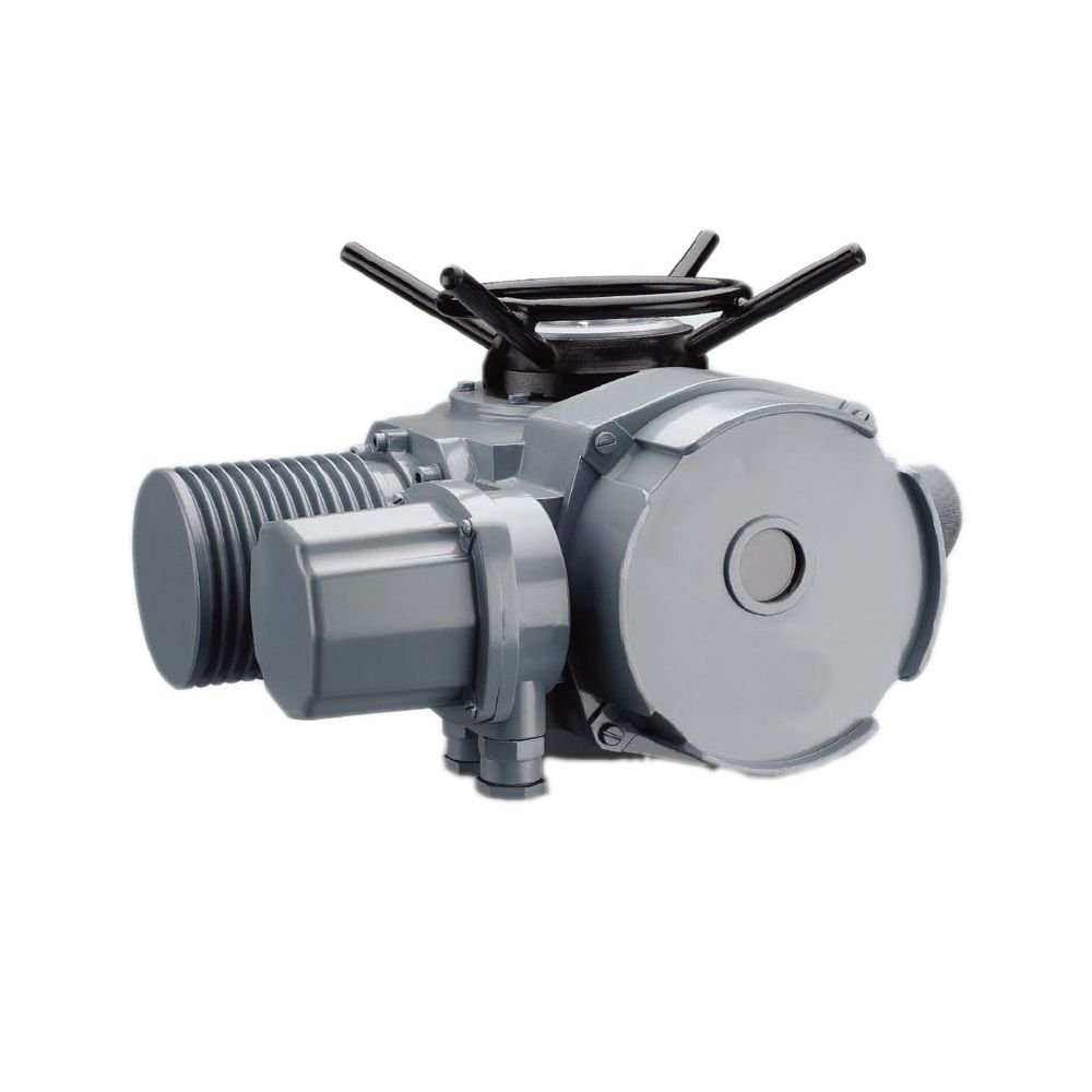 Electric Actuator