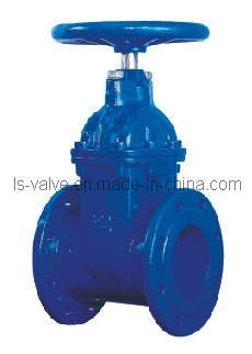 Cast Iron Gate Valve