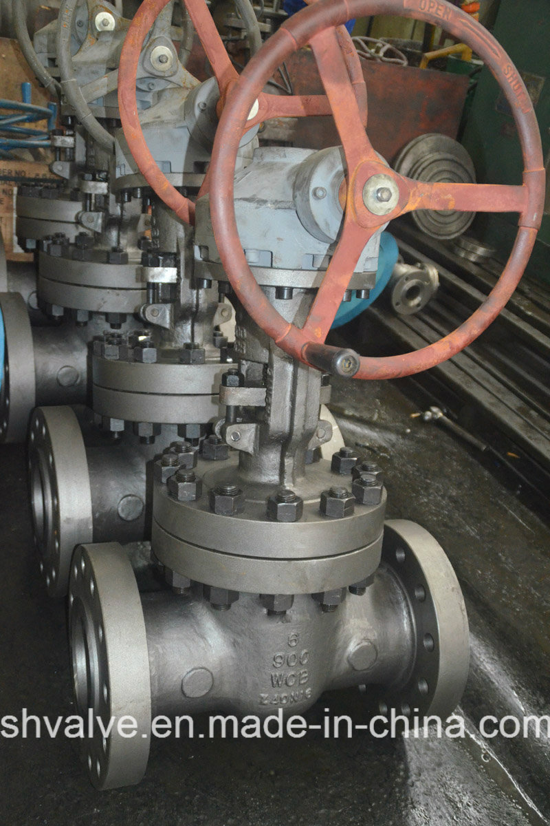 Cast Stainless Steel Gate Valve (Z41W)