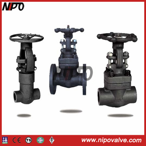 Fnpt Flanged Sw Bw Forged Steel Gate Valve