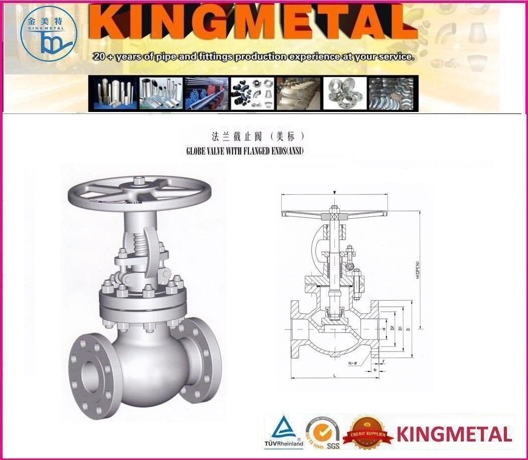 Globe Valve with Flanged Ends