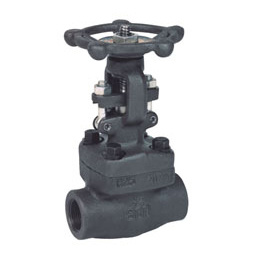 Gate Valve (Z41Y-800LB)