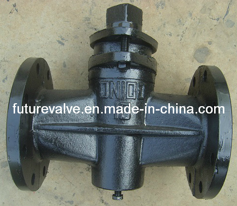 Cast Iron Plug Valve Two-Way Factory Future Valve (X43W-10)