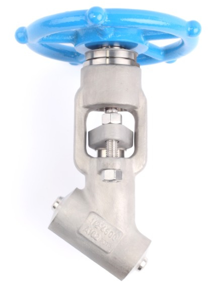 Y Pattern Globe Valve (316-YG45-BW32)