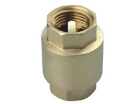Brass Vertical Check Valve