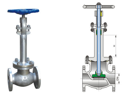 API Cryogenic Globe Valve