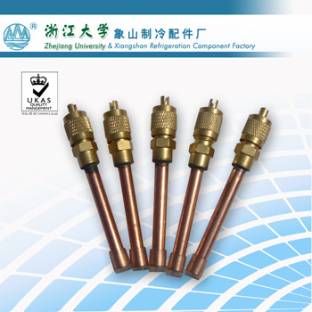 Copper Access