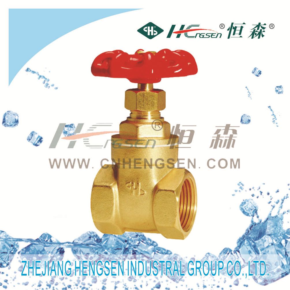 Brass Flood Gate Valve