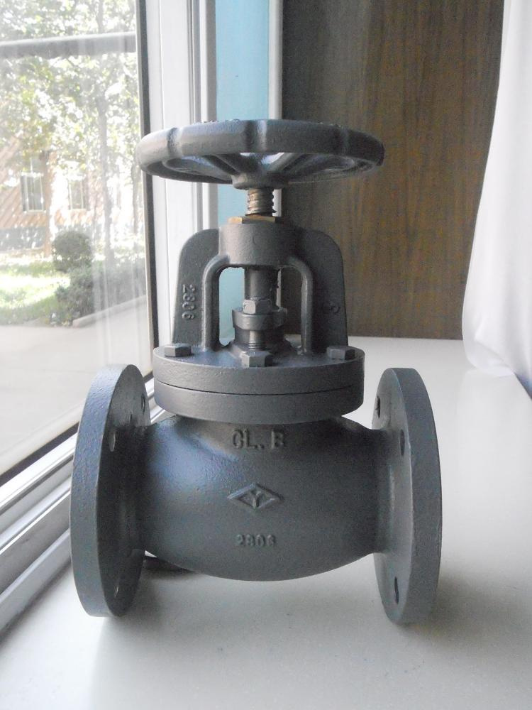 ANSI Globe Valve