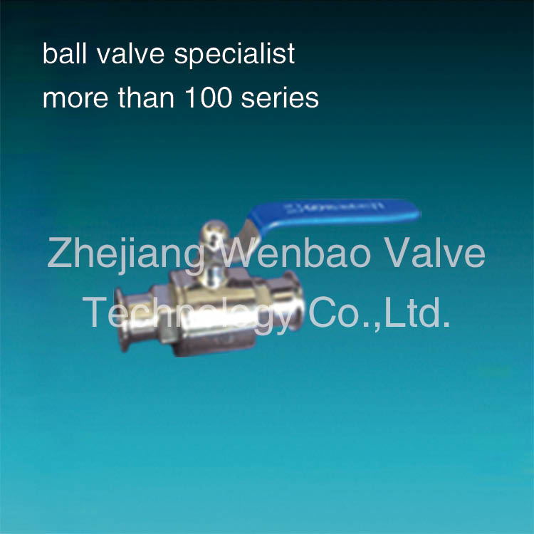 Satinless Steel 2PC Sanitary Ball Valve