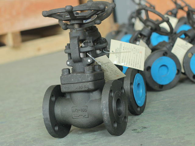 Bolt Bonnet Forged Steel Wedge Gate Valve