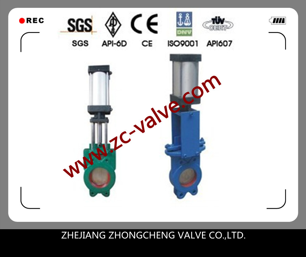 Pneumatic Slurry Valve