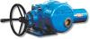 Valve Electric Actuator (00M Series)