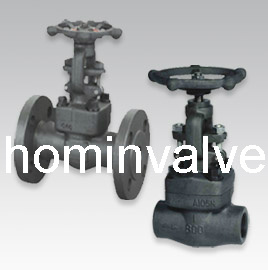 API602 Sw A105 Gate Valve