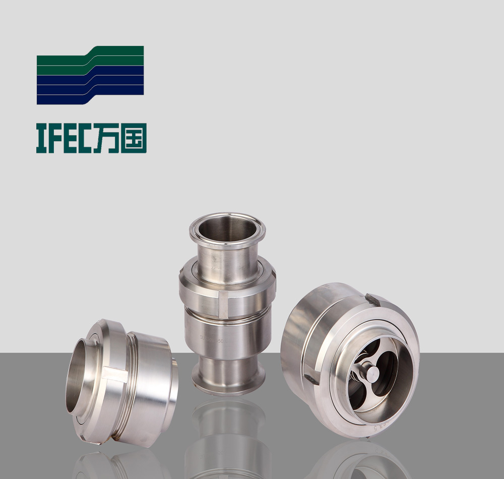 Stainless Steel Weld Check Valve (IFEC-ZH100005)