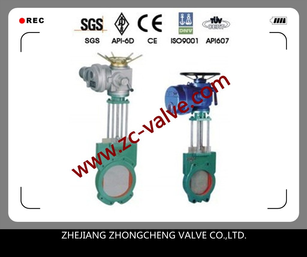 Electric Slurry Valve