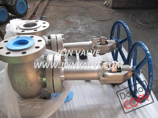 Cyrogenic Service Globe Valve with Extended Stem