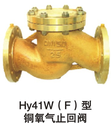 Brass Valve (CV-003)