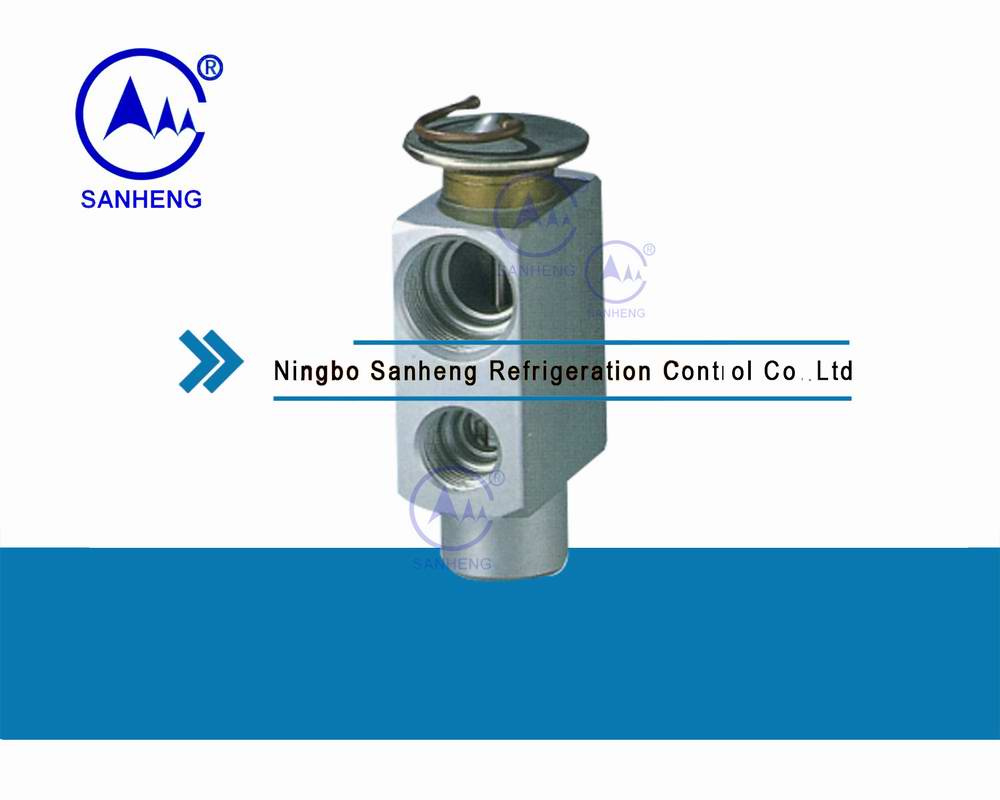 Expansion Valve/Block Valve (SH105-2) with Good Quality