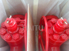 FC Manual Gate Valve