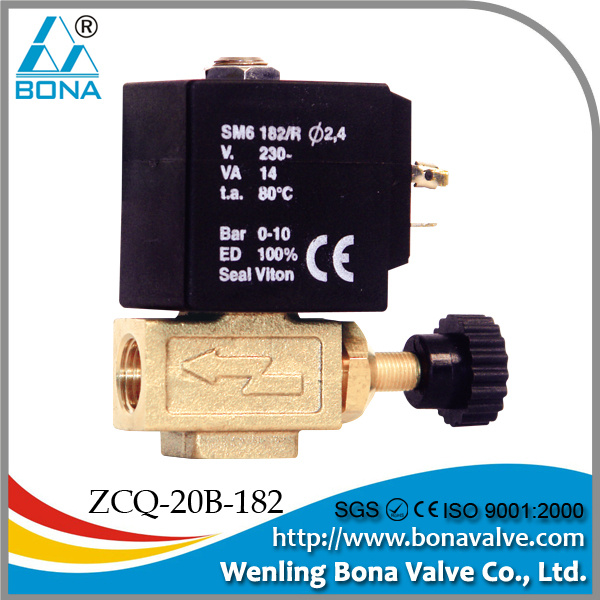 Solenoid Valve for Steam Iro