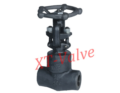 API 602 High Pressure Forged Steel Gate Valve (XT-Z11H)