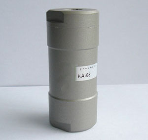 Pneumatic Check Valve