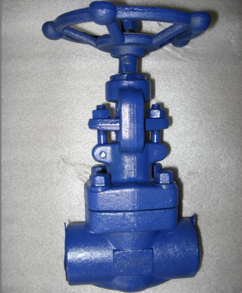 Globe Valve (F11 F22 F5)