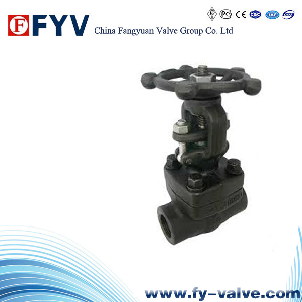 F306L/F304L Manual Forged Steel Globe Valve (J11H)