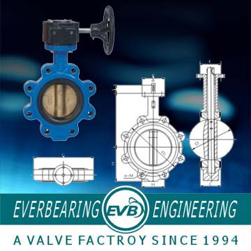 Butterfly Valve (CI-055-Y)