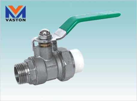 PPR Pipe Brass Ball Valve (171)