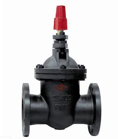 Cast Iron Nf Gate Valve