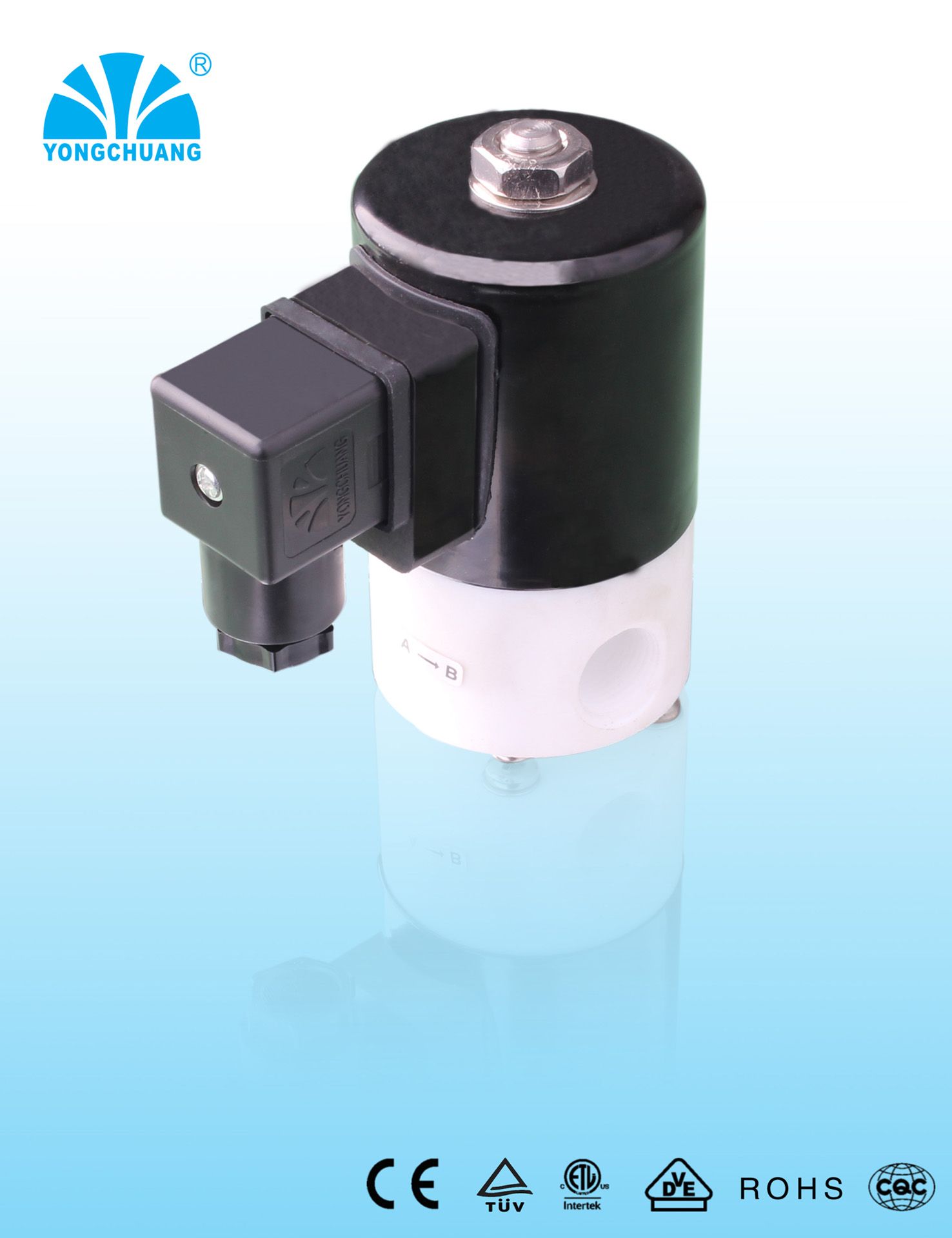 Chemical Resistant Solenoid Valve (YCFP21)