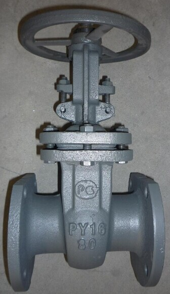 Cast Steel Gate Valve