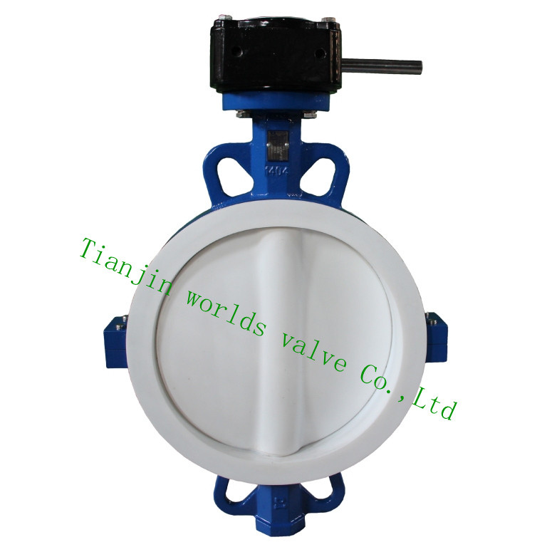 Split Body PTFE Liner Butterfly Valve