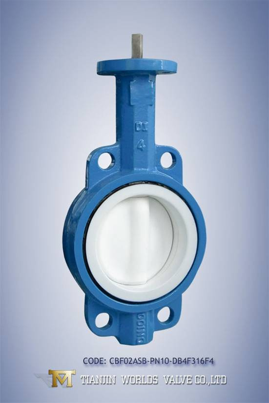 Teflon Butterfly Valve (CBF02ASL-CL150-ZB1304F4)